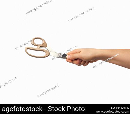 female hand holds metal tailor scissors, white isolated background, close up