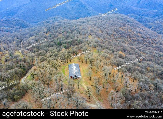 Deciduous forest and hut. Aerial view. Aranarache area. Navarre, Spain, Europe