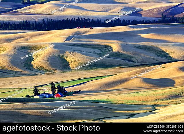 Barn and wheat fields as seen from Steptoe Butte, Washington