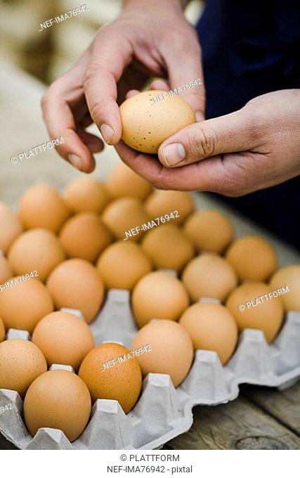 Farmer showing a box of eggs