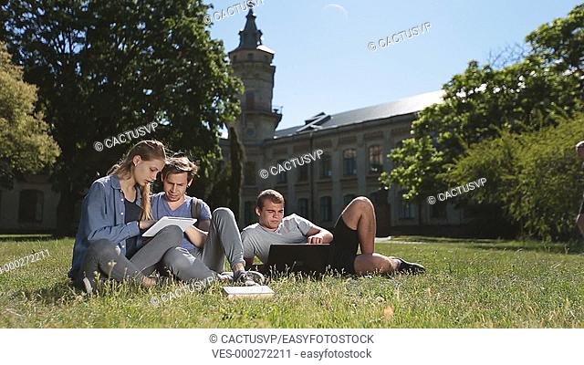 Positive college students studying on campus lawn