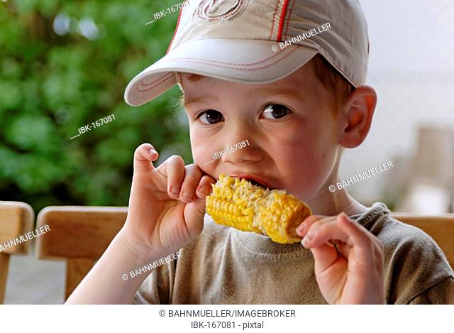 Little boy is eating a barbecue corn cob