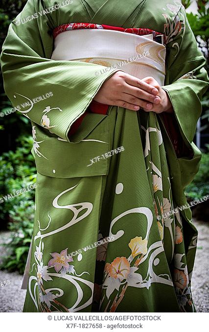 Detail of 'maiko' geisha apprentice from Ishihatsu okiya house of geishas Geisha's distric of Miyagawacho Kyoto  Kansai, Japan