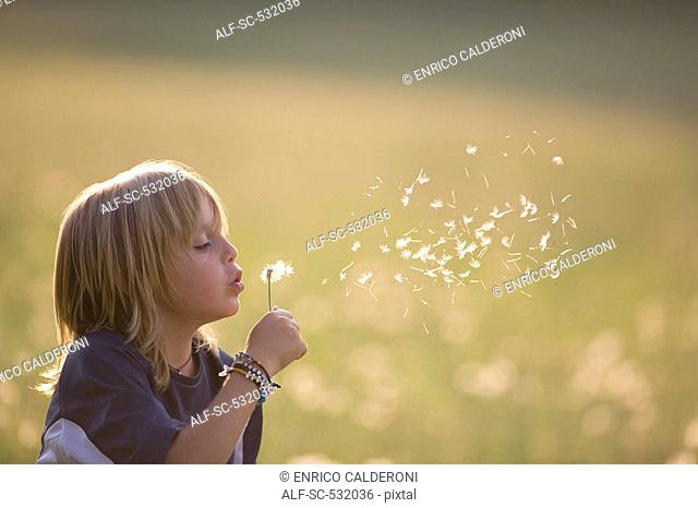 Soccer boy blowing dandelion in field