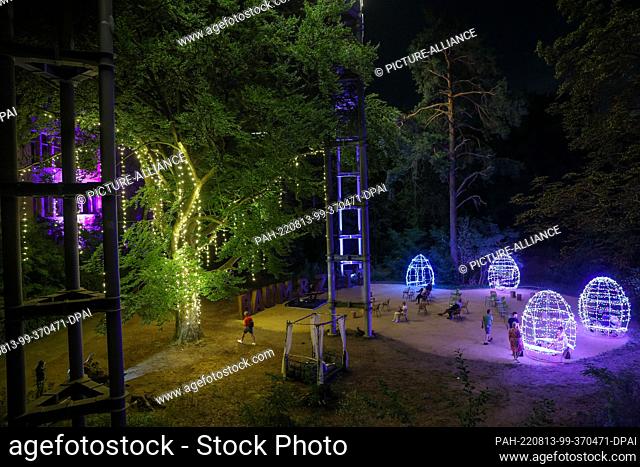 12 August 2022, Brandenburg, Beelitz-Heilstätten: An illuminated tree and various light setups in front of the Alpine House at the ""Long Nights at the Treetop...