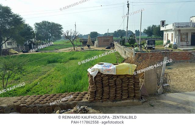 Cow dung in northern India state (Rajasthan) to dry out - they are then used as fuel, recorded on 31.01.2019 | usage worldwide. - /Rajasthan/Indien