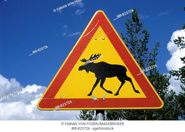 Warning sign moose crossing near Kuipio, Finland, Scandinavia, Europe