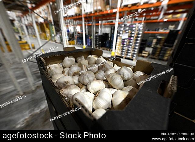The Titbit company in Uhrineves, Prague, Czech Republic, September 20, 2023. The company ensures the ripening of avocados, mangoes