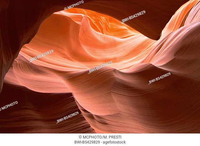sandstone formations in Antelope Canyon, USA, Arizona, Antelope Canyon, Page