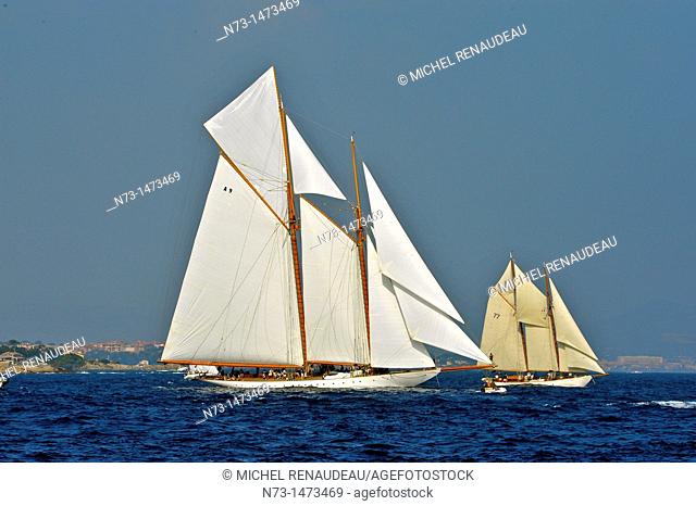 France, Var 83, Saint-Tropez, Les Voiles de Saint-Tropez meet every year in late September of beautiful classic yachts competing in regattas superb here gaff...