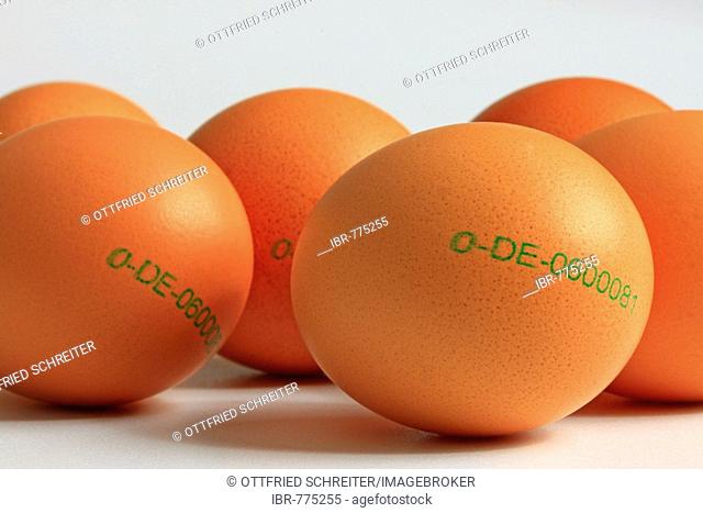 Organic brown eggs with stamp of origin, country of origin: Germany