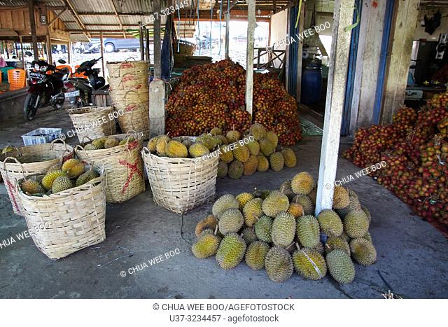 Lots of rambutans and durians for sale in Selakau small town, West Kalimantan, Indonesia
