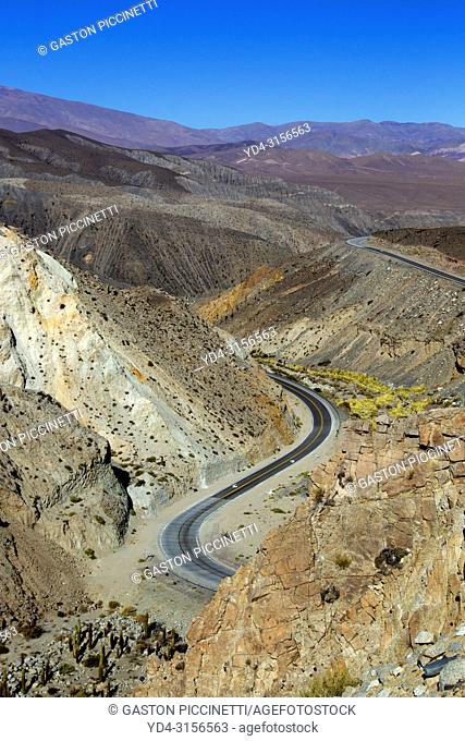 National Route 51, La Puna, Salta, North West, Argentina . This route go to San Antonio de los Cobres