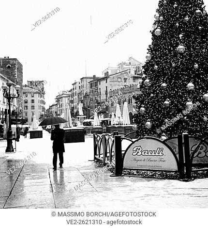 Italy, Veneto, Verona. Piazza (square) delle Erbe, a Christmas tree during a snowstorm