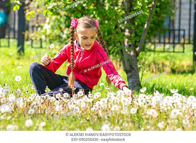 A girl of ten years collects dandelions in the park