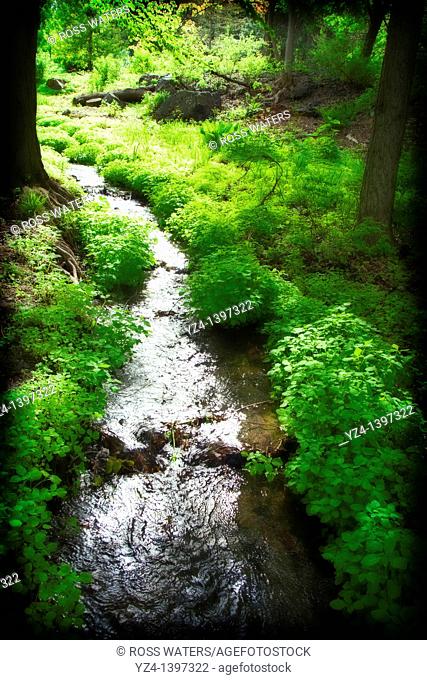 A creek in the Finch Arboretum, Spokane, Washington, USA