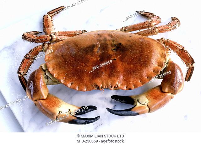 A crab