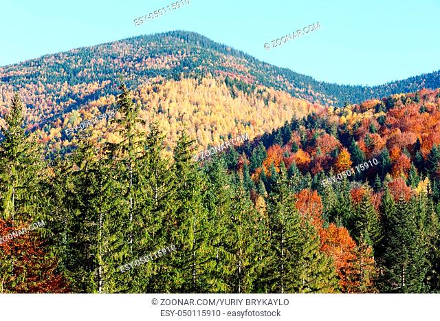 Autumn Carpathian Mountains landscape (Stara Guta, Ivano-Frankivsk oblast, Ukraine)