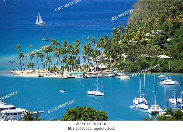 Marigot Bay The harbour with yachts at anchor and a yacht sailing out at sea beyond the small coconut palm tree lined beach of the Marigot Beach Club sitting at...