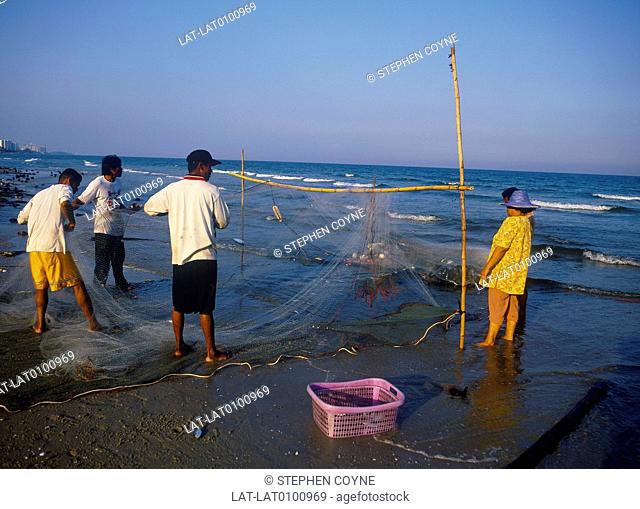Fishing. Beach. Nets stretched between poles. People gathering small silver fish