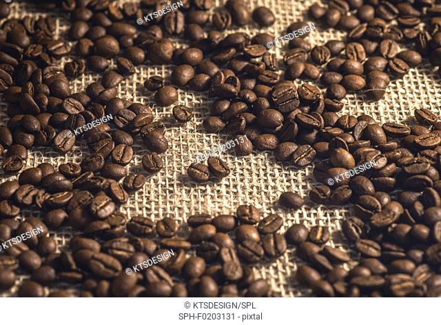 Coffee beans against a hessian background