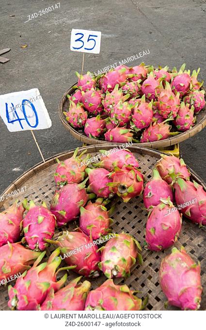 Dragon fruits in Basket on a Fruit Stall at New Sukhothai, Northern Region, Thailand, Asia