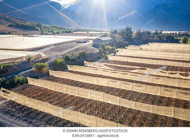 Fields and farmland for the growth of grapes for Pisco production nestled in the mountains of the Elqui Pisco Valley, Coquimbo, Chile