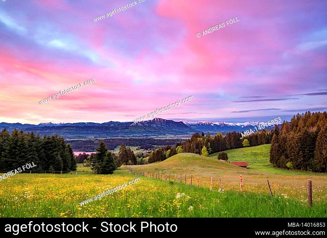 sunrise on a spring day in the allgäu. view over illertal to the snow-covered allgäu alps. bavaria, germany, europe