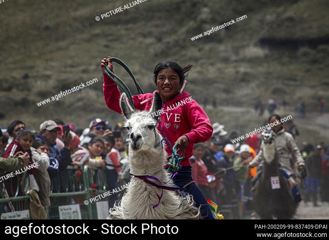 08 February 2020, Ecuador, Quito: Participant Irma Santafe rides her llama and takes third place in the traditional llama race in Llanganates National Park in...