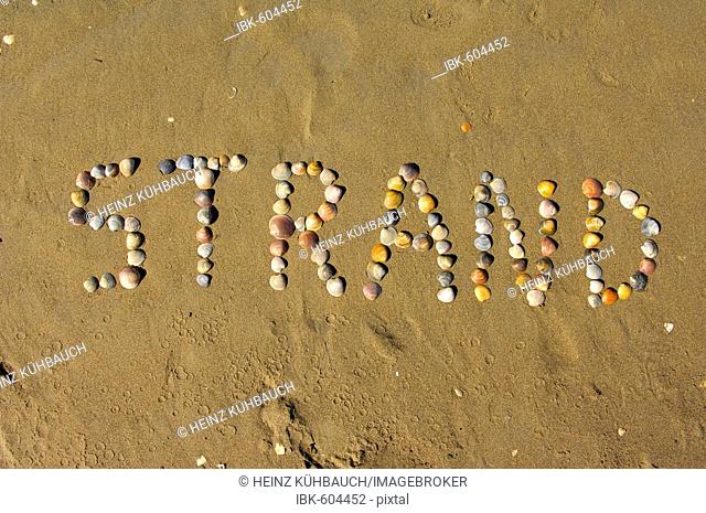Symbolic photo, beach, shells on the beach, Caorle, Veneto, Italy