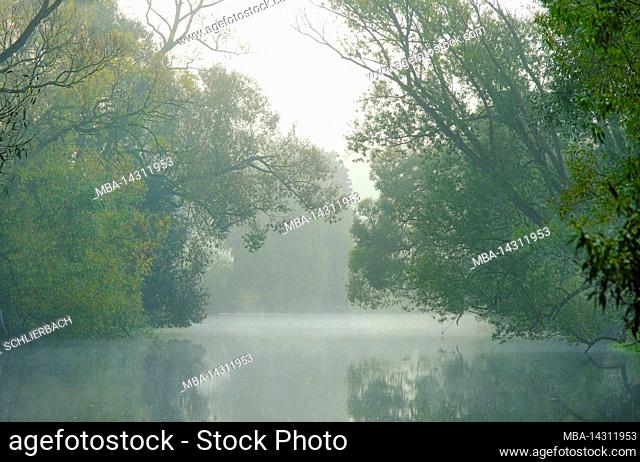 Europe, Germany, Hesse, Marburger Land, morning fog in the meadows of the river Lahn near Weimar