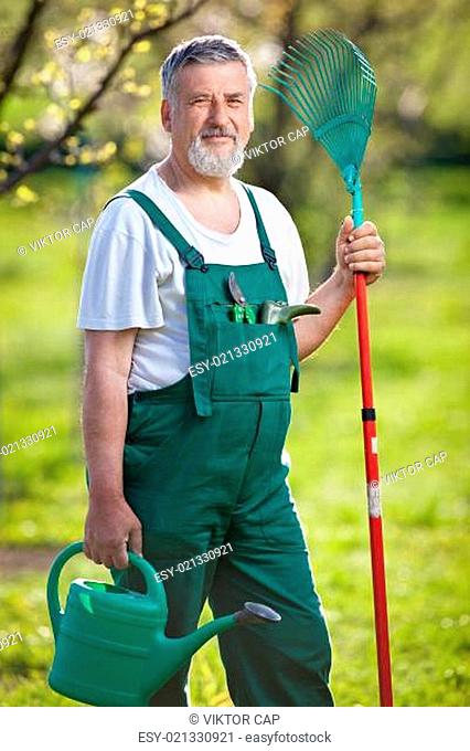 portrait of a senior man gardening in his garden