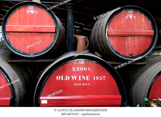Madeira wine in barrels, Madeira, Portugal