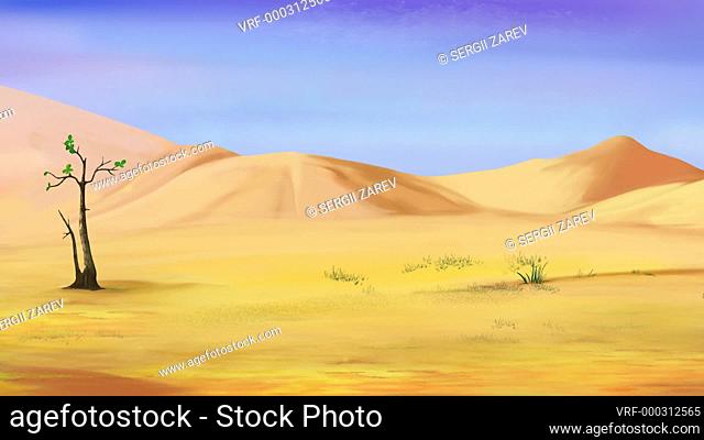 Little brown turtle walks through the sandy desert. Handmade 2D animation