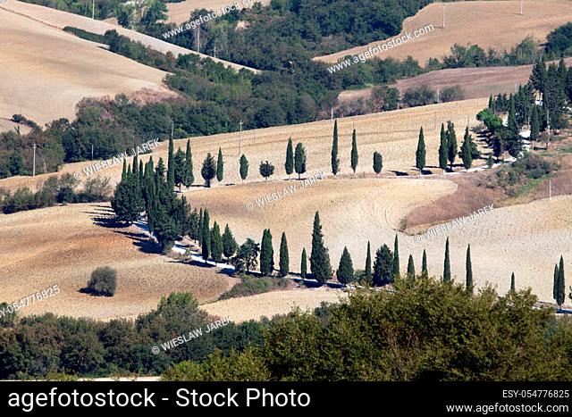 The hills around Pienza and Monticchiello Tuscany, Italy