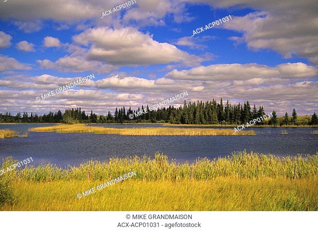 Prairie scenic, Shell Lake, Saskatchewan, Canada
