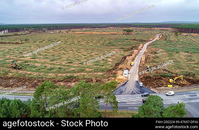 24 February 2020, Brandenburg, Grünheide: Cleared pine forest can be seen on the site of the future Tesla Gigafactory (aerial photo with a drone)