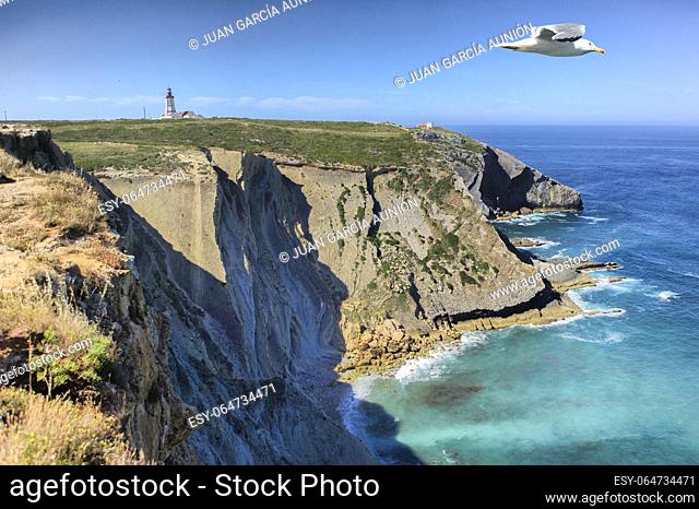 a seagull flies over Cape Espichel Cape rocky cliffs. Lighthouse building at bottom, Sesimbra, Portugal