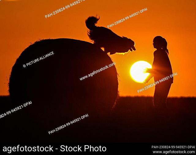 22 August 2023, Brandenburg, Sieversdorf: A girl and her dog are seen in the colorful sunset on a straw roll. Photo: Patrick Pleul/dpa