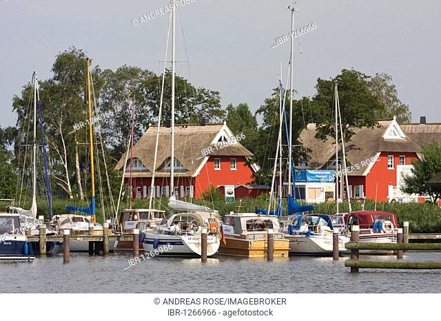 Yachts on the Darss peninsula in the marina of Ahrenshoop-Althagen in front of typical boathouses, Mecklenburg-Western Pomerania, Germany, Europe