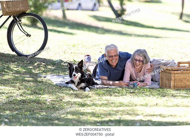 Laughing senior couple lying with dog on blanket on a meadow