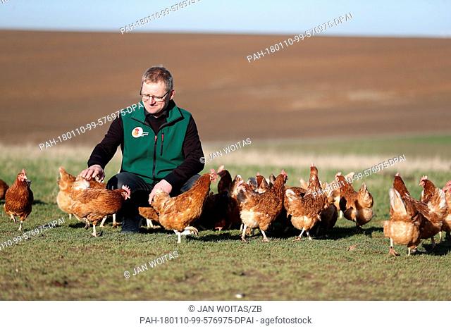 Juergen Weber, manager of the Weber chicken farm, kneeling on a grass field amidst free-range chicken in Schoenberg, Germany, 10 January 2018