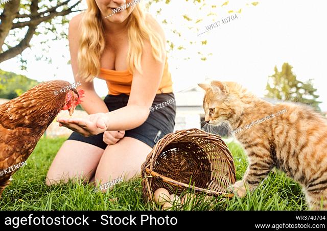 Little girl with chicken and cat on farm collecting the eggs