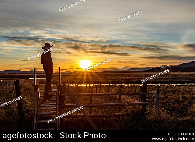 USA, Idaho, Bellevue, Cowboy standing on fence at sunset