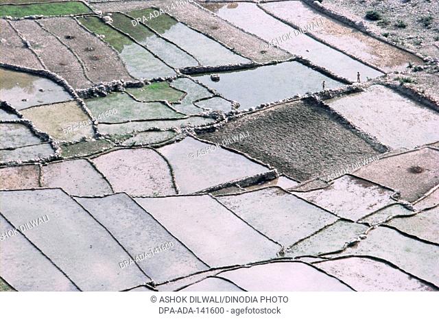 Aerial view of water in field