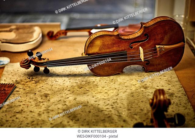 Repaired instruments in a violin maker's workshop