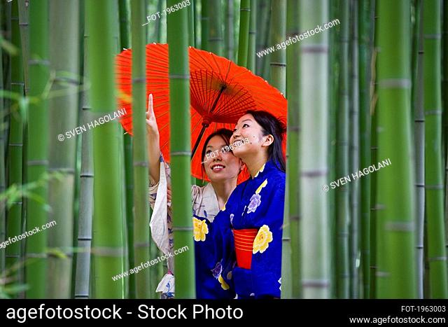 Beautiful young women in kimonos with parasol among bamboo