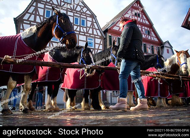 11 February 2020, Baden-Wuerttemberg, Leonberg: A woman looks at horses on the market place in Leonberg. The traditional horse market will be held for the 329th...