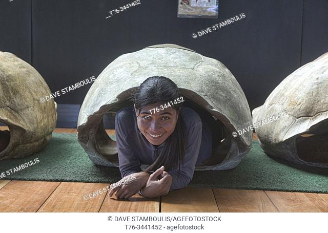 Galapagos giant tortoise shell at El Chato Reserve, Galapagos Islands, Ecuador