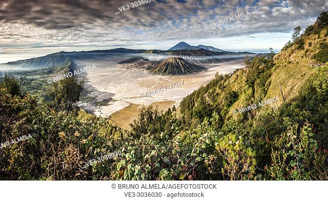 View of Mt. Bromo, Semeru, Batok and Widodaren in Bromo Tengger Semeru National Park (East Java, Indonesia)